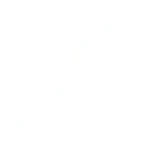 ragamuffin kitten icon